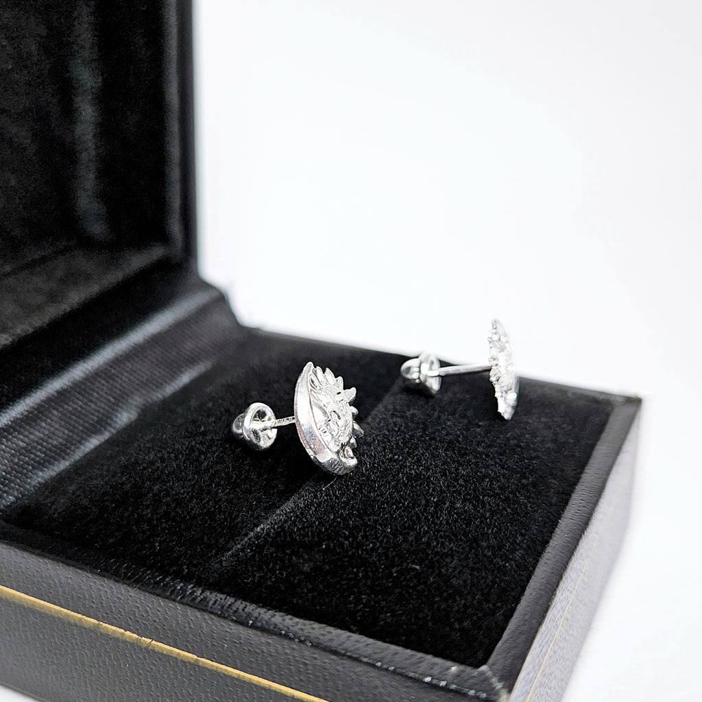 Aretes de plata. Diseño sol y luna