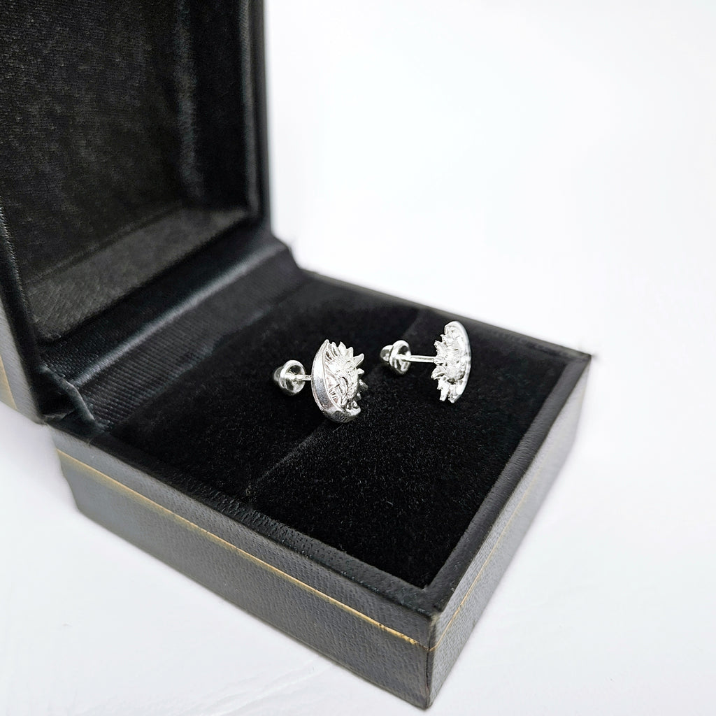 Aretes de plata. Diseño sol y luna