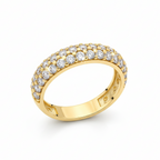 Anillo Churumbela. ANF146